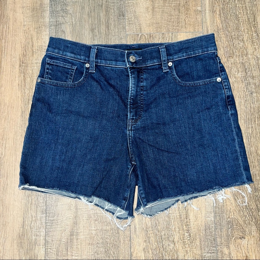 Express Dark Wash Midrise Shorite Shorts